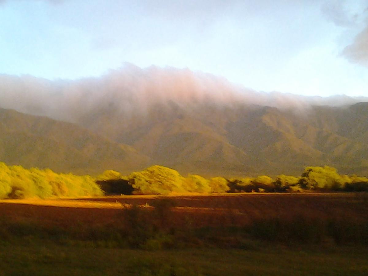 Complejo Valle De Las Rosas Villa Villa Las Rosas Exteriör bild